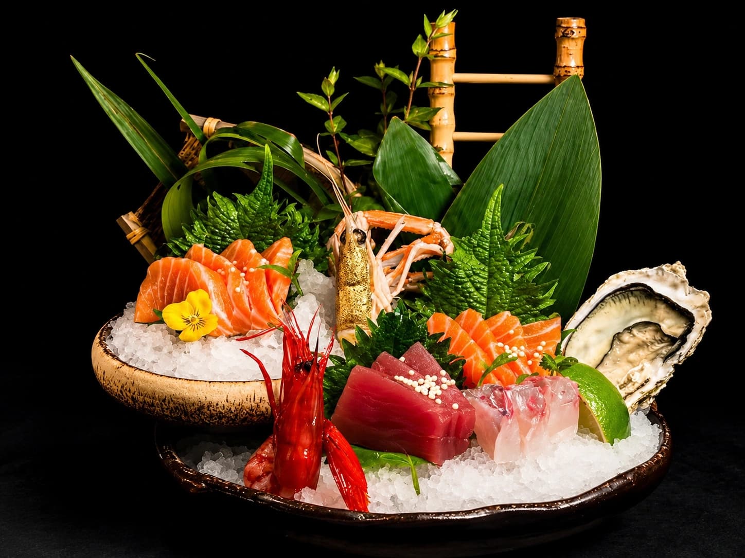 Premium sashimi selection arranged over ice with oyster and herbs