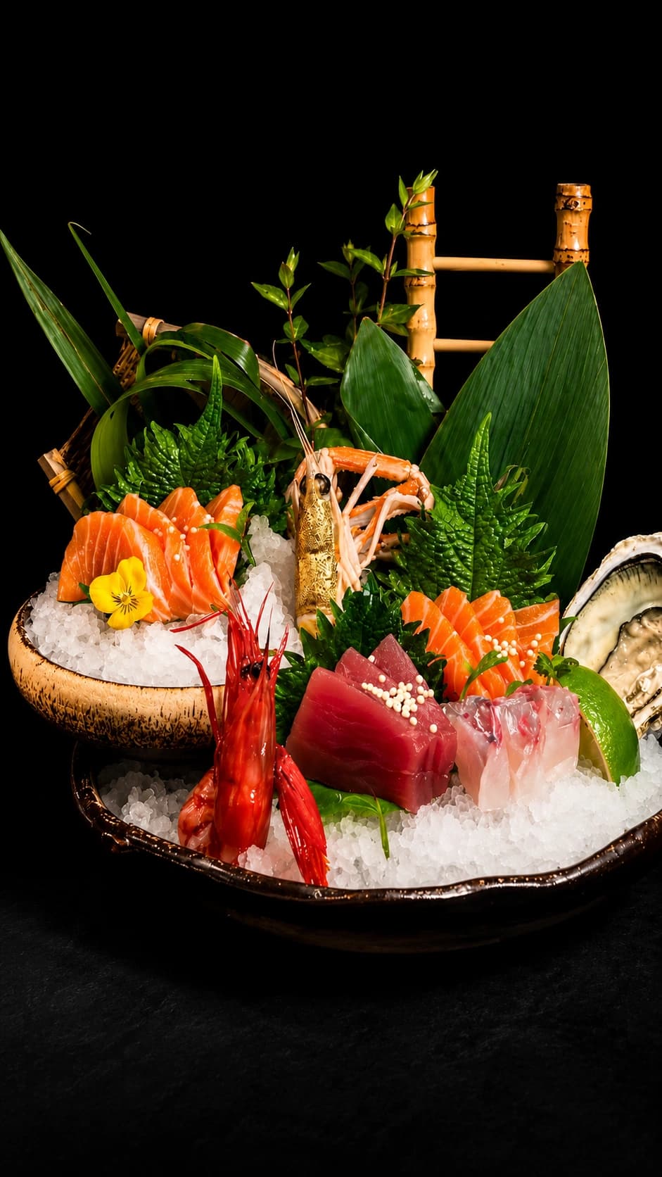 Premium sashimi selection arranged over ice with oyster and herbs